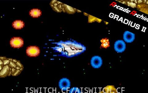 [Switch]就爱打飞机宇宙巡航机2英文版[NSZ]