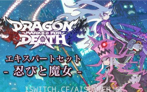 [Switch]龙之死印:忍者与女巫官方中文本体+3.1.5+5DLC整合即撸版[XCI]