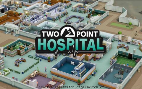 [Switch]双点医院官方中文本体+最新1.0.4升补[NSP]