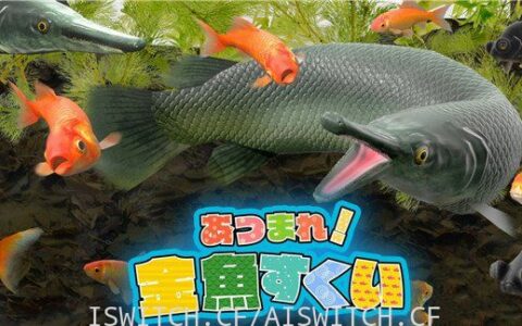 [Switch]捞金鱼官方中文[NSP]