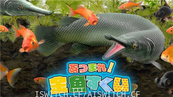 [Switch]捞金鱼官方中文[NSP]