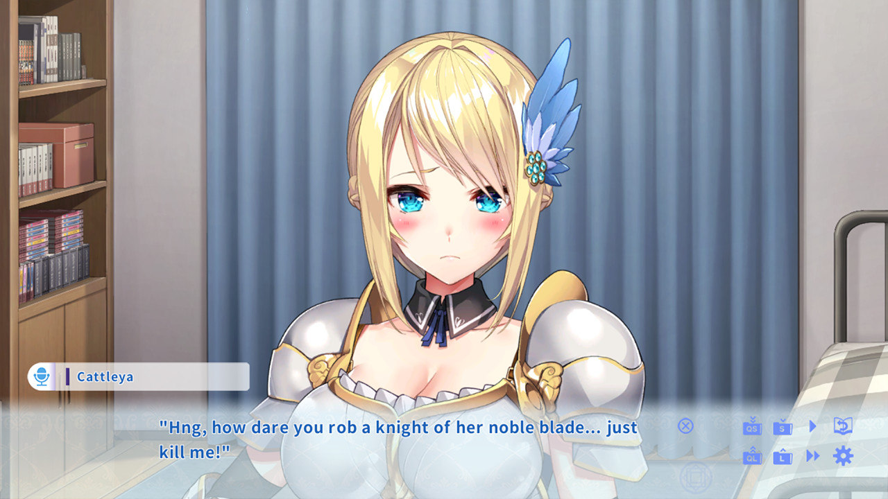 [Switch]迟到的周末油油献上与女骑士共度的时光官方中文[NSP][直链+毒娘]