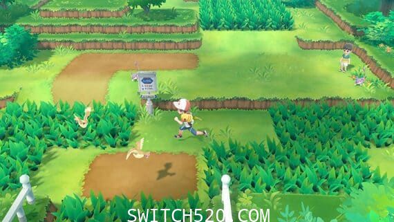 [Switch]精灵宝可梦 皮卡丘-伊布2N1合集官方中文[NSP]