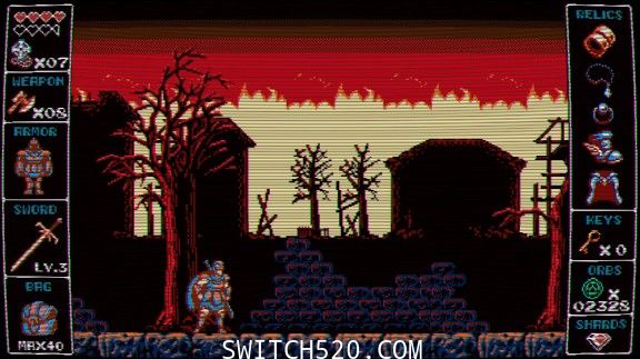 [Switch]赤影战士+奥达勒斯官方中文[XCI]