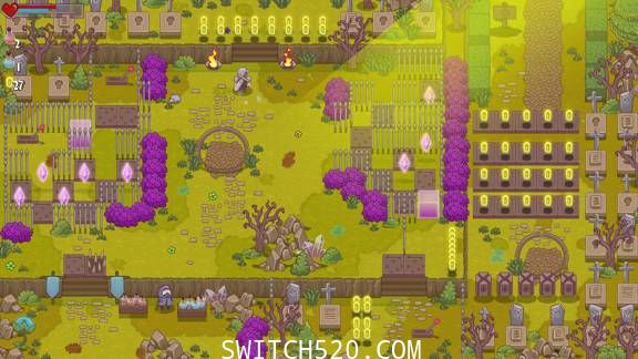 [Switch]闪闪发光的剑英文版[NSP][魔改9.2]