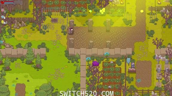 [Switch]闪闪发光的剑英文版[NSP][魔改9.2]