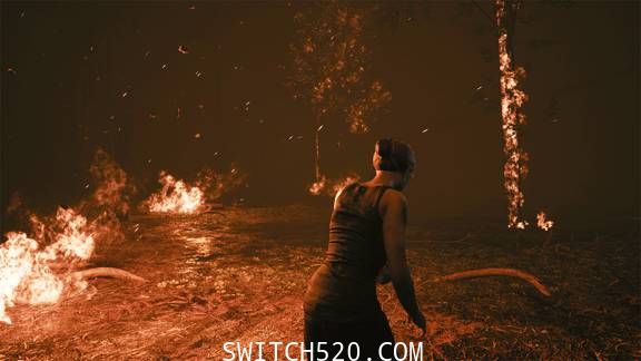 [Switch]灰色天空:世界大战的故事英文版[NSP]
