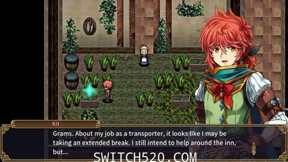 [Switch]Ruinverse原汁日文本体+3DLC[NSP]