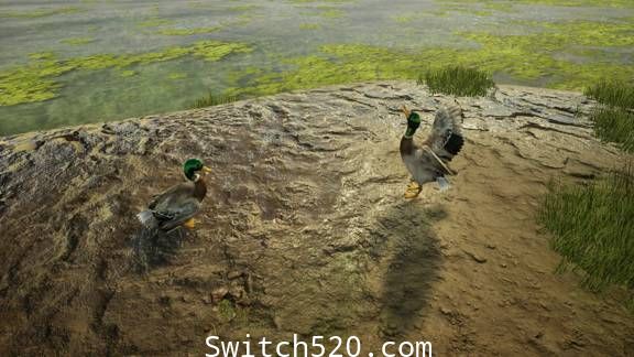 [Switch]兽医:Animal Doctor英文版本体+1.0.1升补[NSZ][魔改9.2]