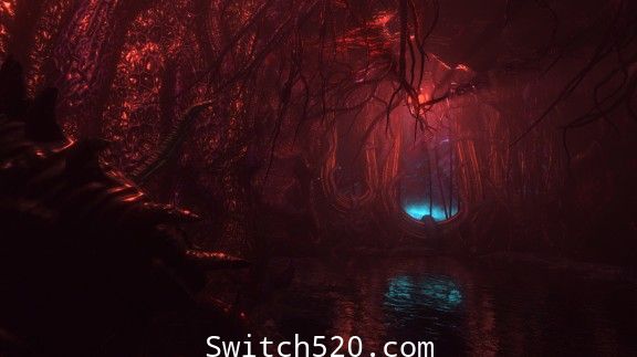 [Switch]黑暗欲望官方中文本体+1.0.1升补[NSZ][稀缺资源]