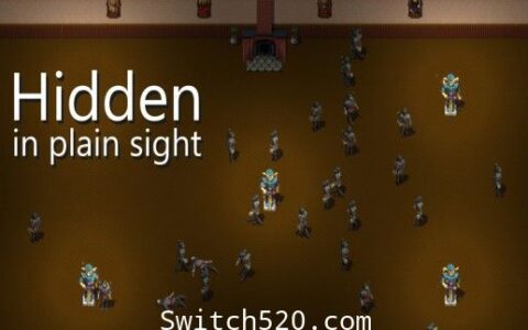 [Switch][补发]一览无遗:Hidden in Plain Sight英文版[NSP]