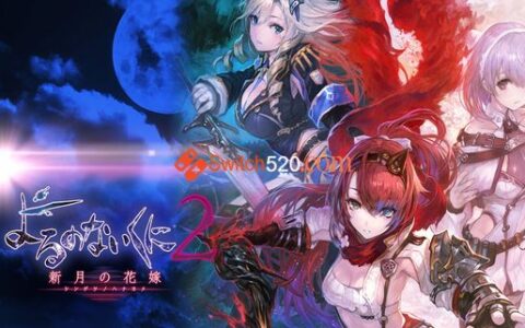 [Switch]无夜国度2:新月的花嫁汉化中文本体+1.0.1+2DLC[NSP][修正]