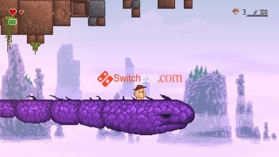 smashroom.original _1_.jpg smashroom.original _1_.jpg