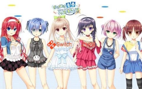 [Switch]闪耀青春追逐记日文[NSP-XCI][原版+魔改9.2]