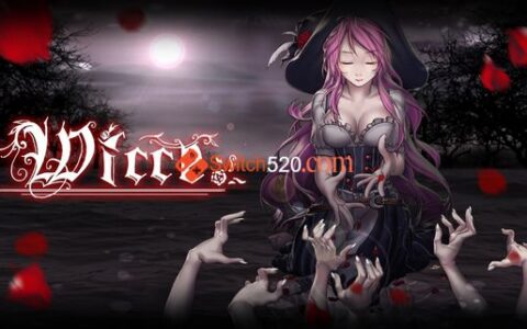 [Switch]女巫大冒险中文本体+1.0.2整合版[NSZ-XCI][原版+魔改10.2.0]