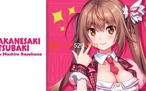 [Switch]爱怒流Days&Days中文[NSP-XCI][原版+魔改11.0.0]