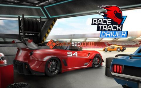 [Switch]Race Track Driver英文版[NSP-XCI][原版+魔改9.2]
