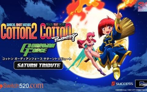 [Switch]小魔女合集官方中文[NSP][XCI]