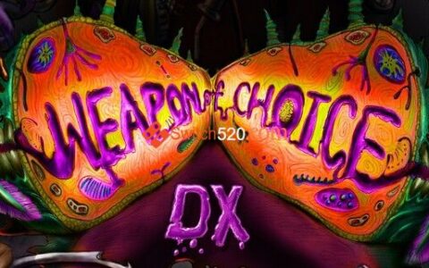 [Switch]选择的武器DX英文版[NSP-XCI][原版+魔改10.2.0]