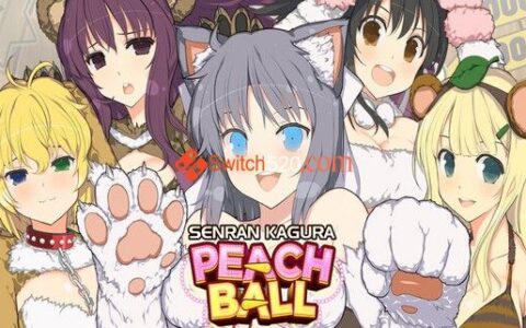[Switch]桃色弹珠 闪乱神乐官方中文本体+1.0.2+14DLC整合版[XCI]