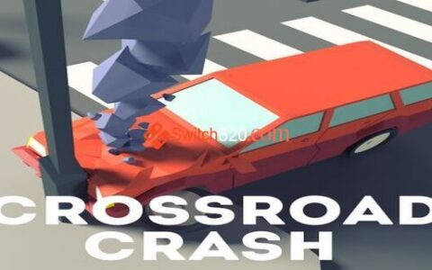 [Switch]路口撞车 Crossroad crash