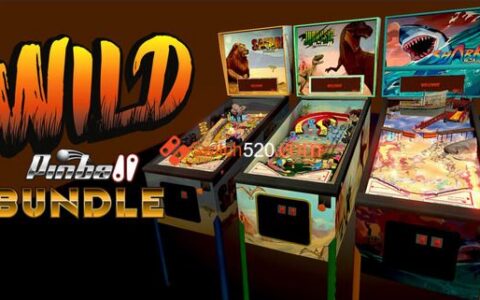 [Switch]狂野弹子球捆绑包 Wild Pinball Bundle