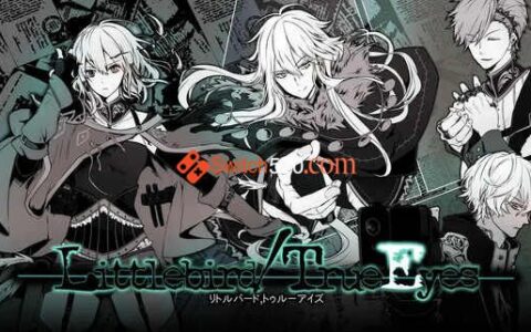 [Switch]Littlebird TrueEyes原汁日文[NSP-XCI][原版+魔改11.0.0]