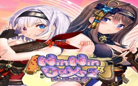 [Switch]性感女忍同居生活2 NinNinDays2