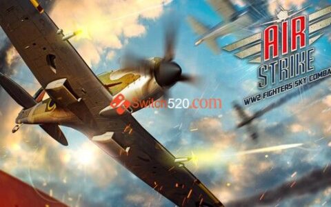 [Switch]空袭 二战战斗机空战 Air Strike WW2 Fighters Sky Combat
