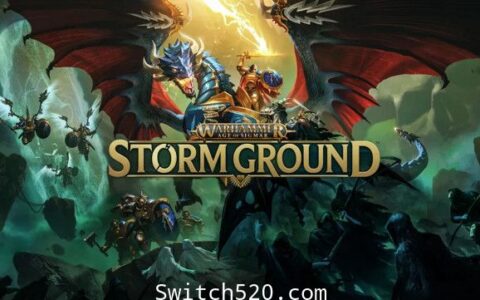 [Switch]战锤西格玛时代:风暴之地中文本体+1.0.6+1DLC整合版[NSP-XCI][原版+魔改10.2.0]