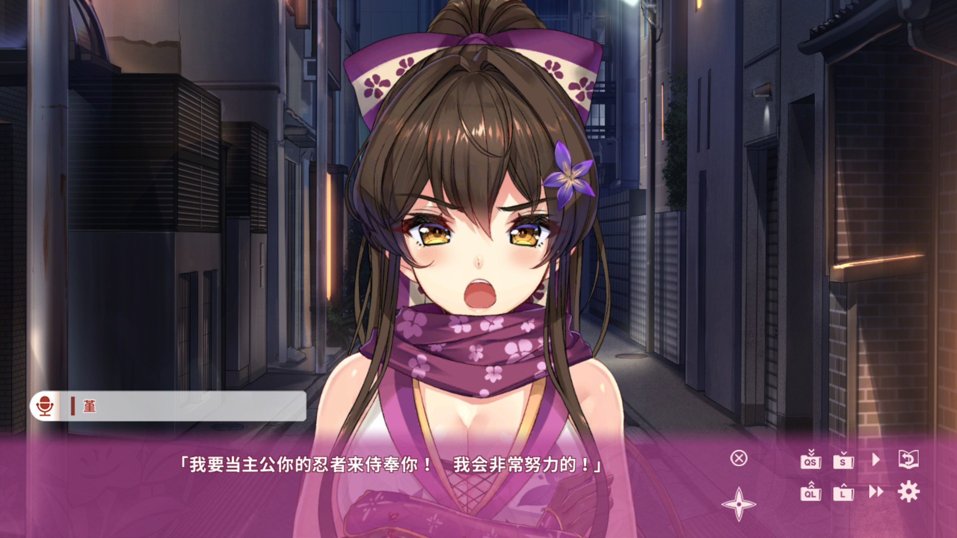 [Switch]NinNinDays2 R18UNC官方中文[更新完美版][NSP]