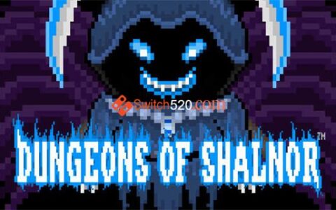 [Switch]沙尔诺地牢 Dungeons of Shalnor