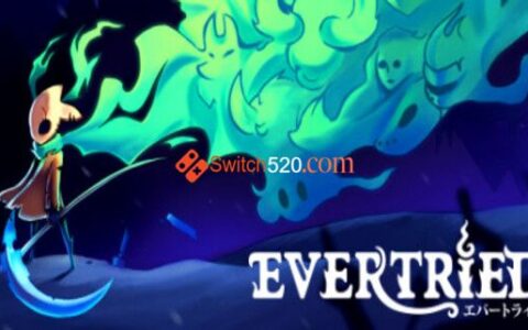 [Switch]永不言弃 Evertried