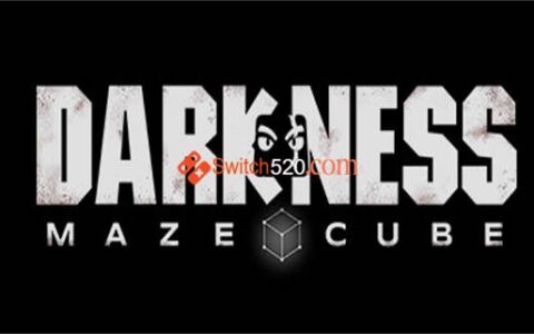 [Switch]硬核方块迷宫 Darkness Maze Cube