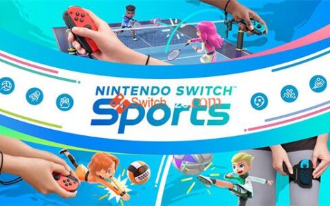 [Switch]体育在线游戏 ports Online Play Test Switch