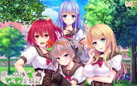 [Switch]癒しの女神の実験台（モルモット） 初回限定版 + 修正パッチ