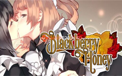 [Switch]黑莓蜂蜜 Blackberry Honey
