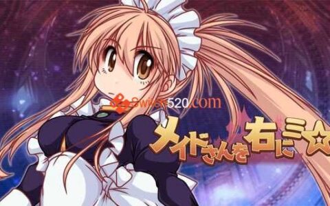 [Switch]女仆在右 Super Zangyura