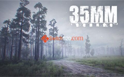 [Switch]35毫米 35MM
