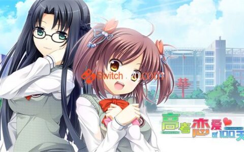[Switch]高考恋爱100天 Gaokao Love 100 Days