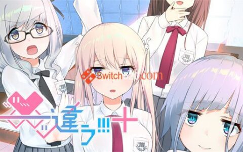 [Switch]――ッ违う!!!原汁日文NSP原版