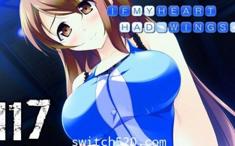 [Switch]在这苍穹展翅官方中文本体+1.0.4原版整合XCI修正