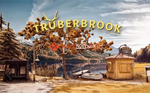 [Switch]墨池镇 Trüberbrook(トルバーブルック) Trberbrook
