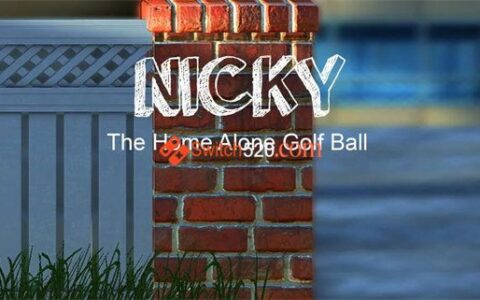 [Switch]尼克-独自在家的高尔夫球 Nicky – The Home Alone Golf Ball