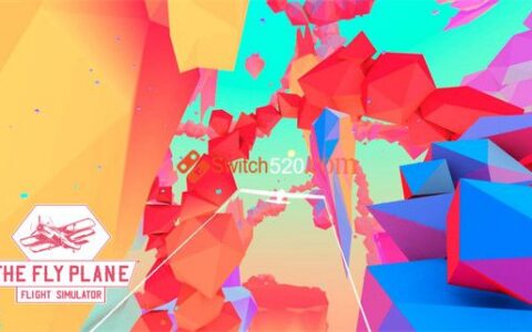 [Switch]飞机 飞行模拟器英文版NSP原版