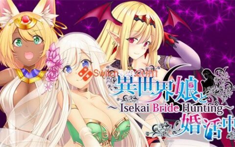 [Switch]与异世界的少女结婚官方中文NSP原版