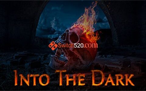 [Switch]进入黑暗 Into the Dark
