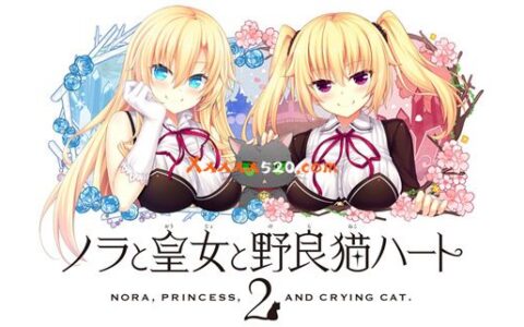 [Switch]野良与皇女与流浪猫之心2原汁日文整合神秘果MODNSZ