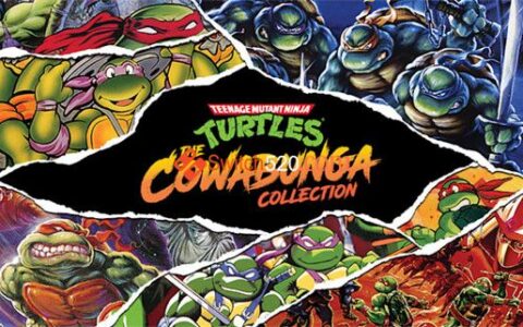 [Switch]忍者神龟 卡哇邦嘎合集 Teenage mutant ninja