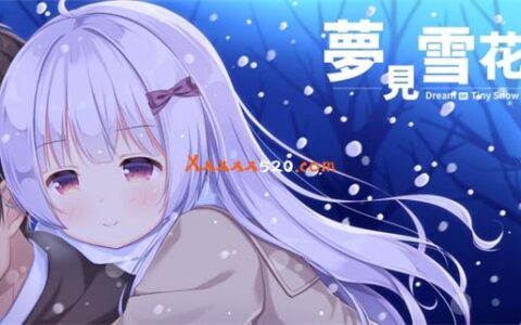 [Switch]梦见雪花 Dream of Tiny Snow